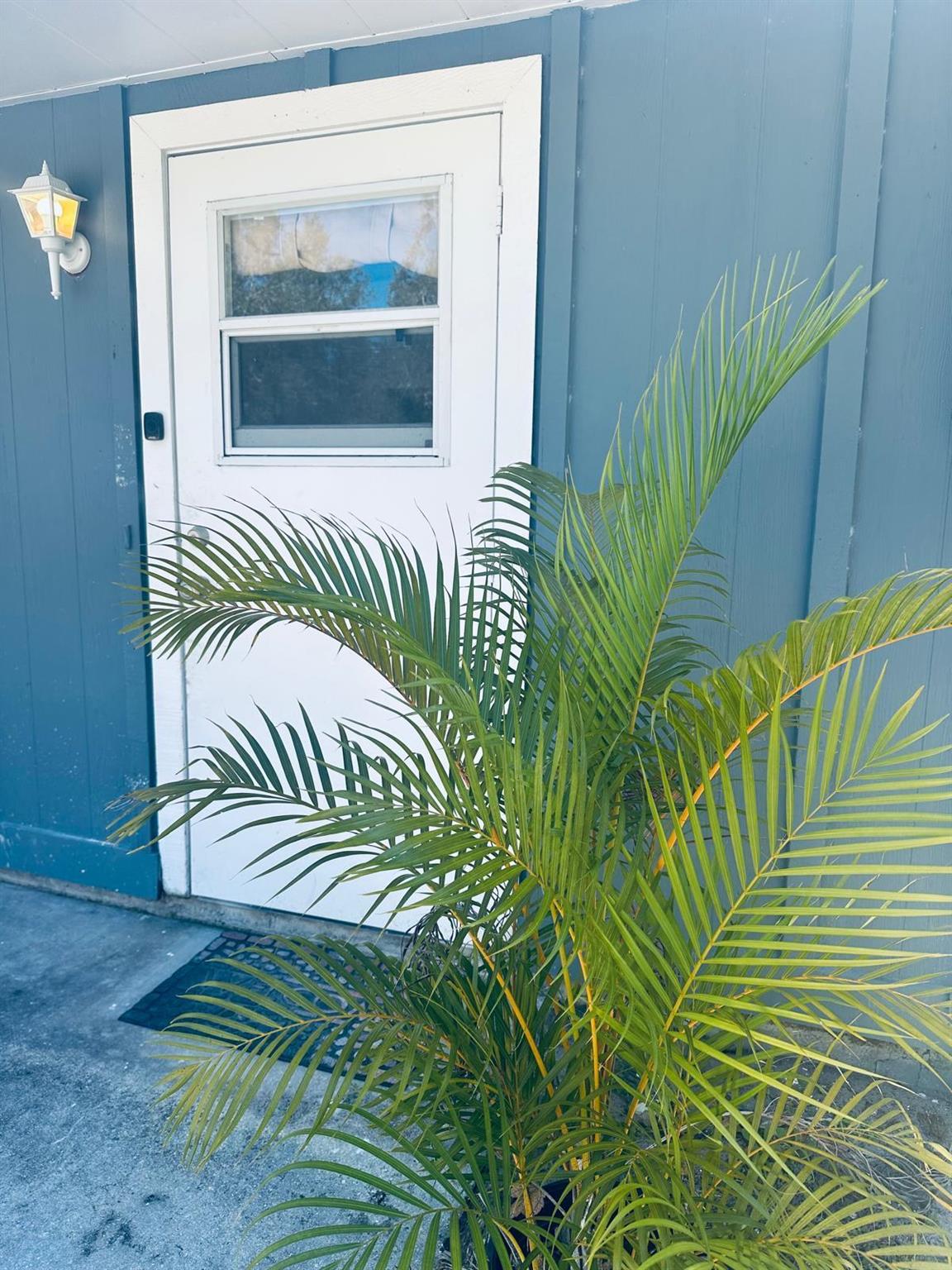 This cozy 1-bedroom, 1-bath efficiency apartment offers a private entrance and comfortable living space with WATER AND ELECTRIC INCLUDED! The unit features a spacious living room, separate bedroom, and a bathroom with a standalone shower. The kitchen is equipped with a fridge and cooktop for easy meal prep. Located just a short drive from Vero Beach, enjoy sunbathing, swimming, and water sports. Nature enthusiasts will love the nearby Pelican Island National Wildlife Refuge. The McKee Botanical Garden and Vero Beach Museum of Art are also close by for cultural exploration. With easy access to highways, this efficiency offers a perfect retreat in a prime location.