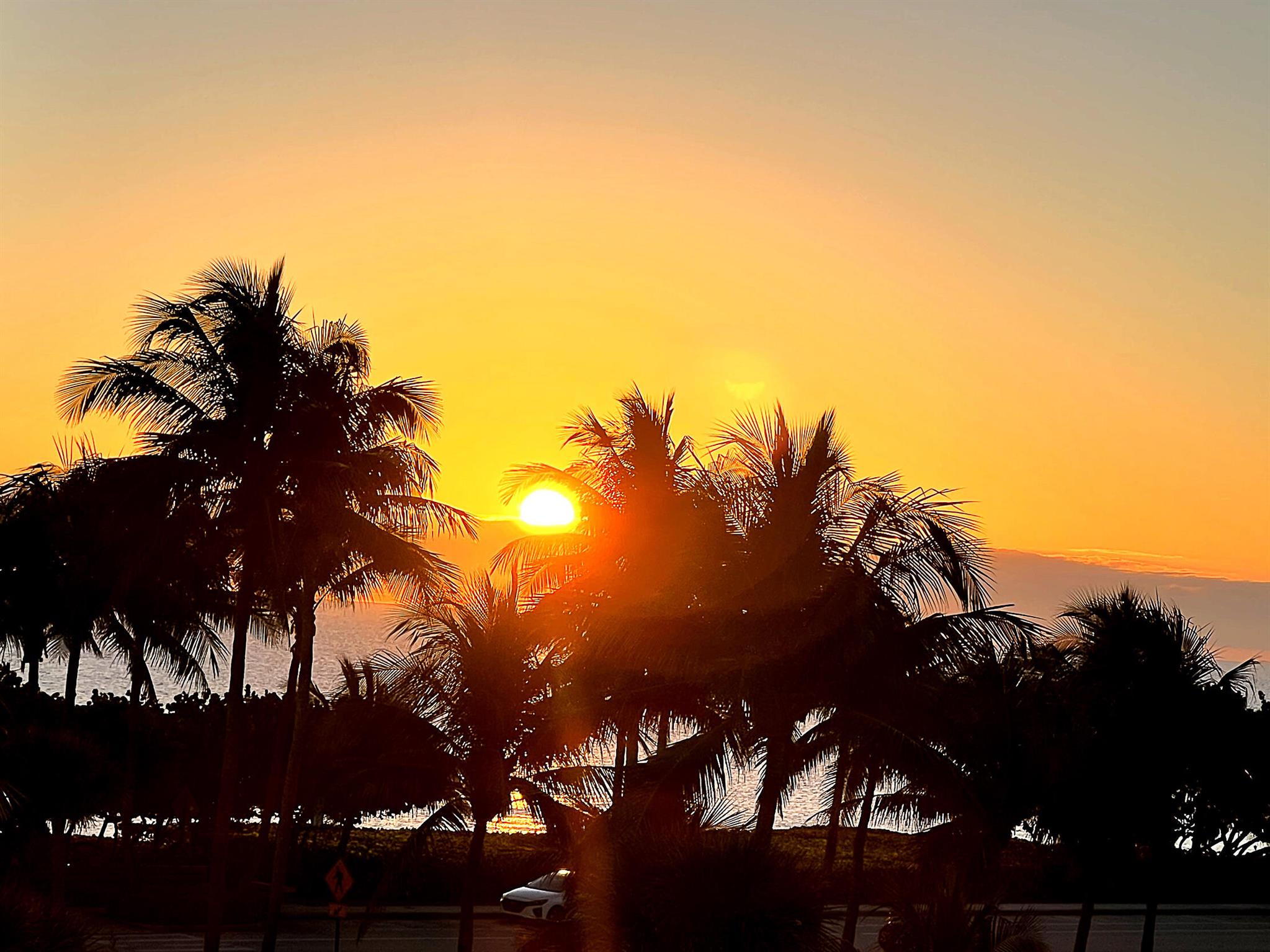 230 Ocean Grande Boulevard 501