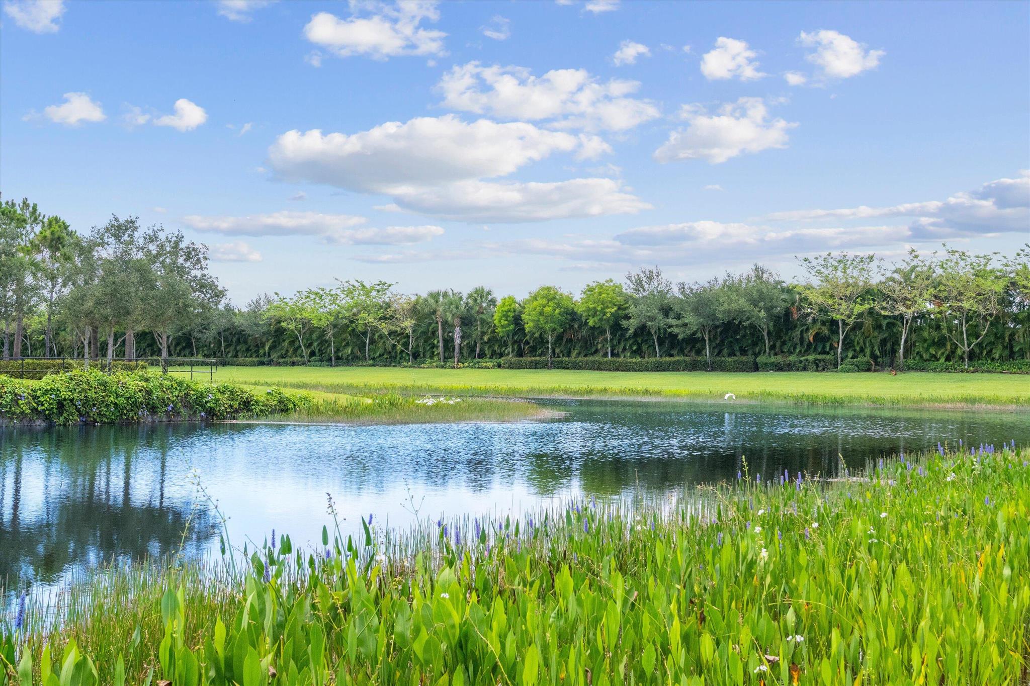 Valencia Bay - Residential