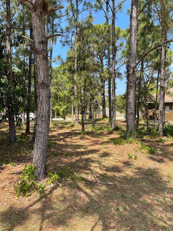 PORT ST LUCIE SECTION 48 1ST REPLAT - Land