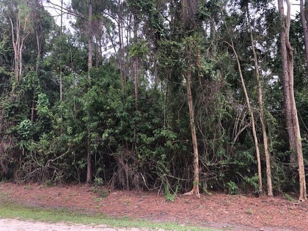 Photo of Xxxx 61st Court N, Loxahatchee, FL 33470 (MLS # R10725015)