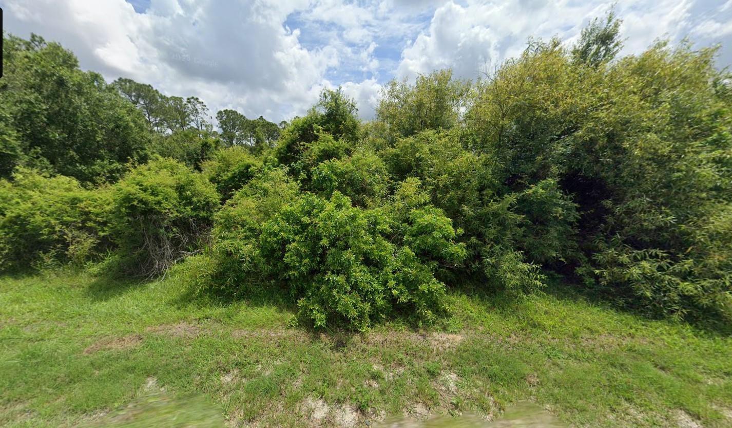 Rare opportunity to own a cleared 1.25-acre lot (166' x 333') in the desirable Montura Ranch Estates community. Located on paved street, this parcel is high and dry, with plenty of space for a custom home, mobile/manufactured home, or investment property. Zoned Rural Residential Farm (RRF), allowing for livestock, farming, and outbuildings (verify with Hendry County). Electric nearby; well and septic needed. No HOA, no deed restrictions. Enjoy peace, privacy, and flexibility just minutes from the Montura clubhouse, parks, and US-27. Ideal for buyers seeking land with room to grow, farm, or play.