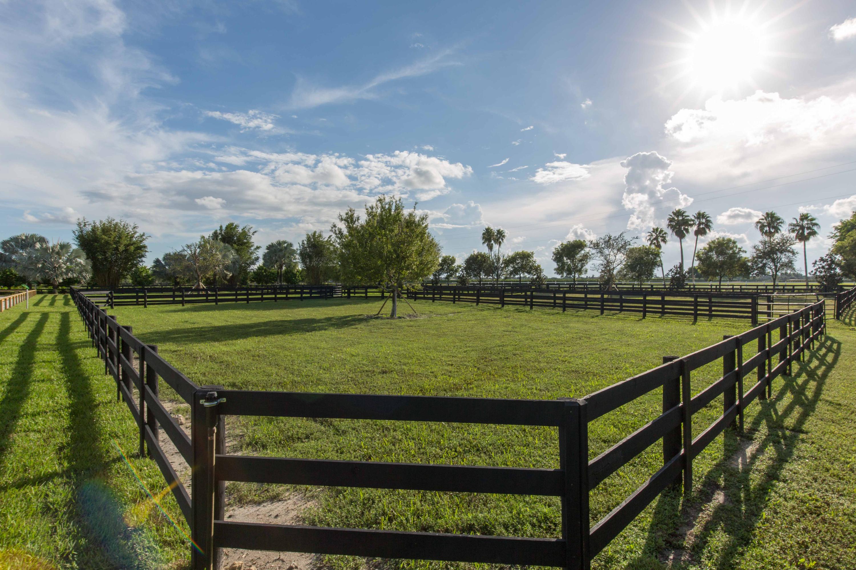 PALM BEACH POINT EAST - Residential