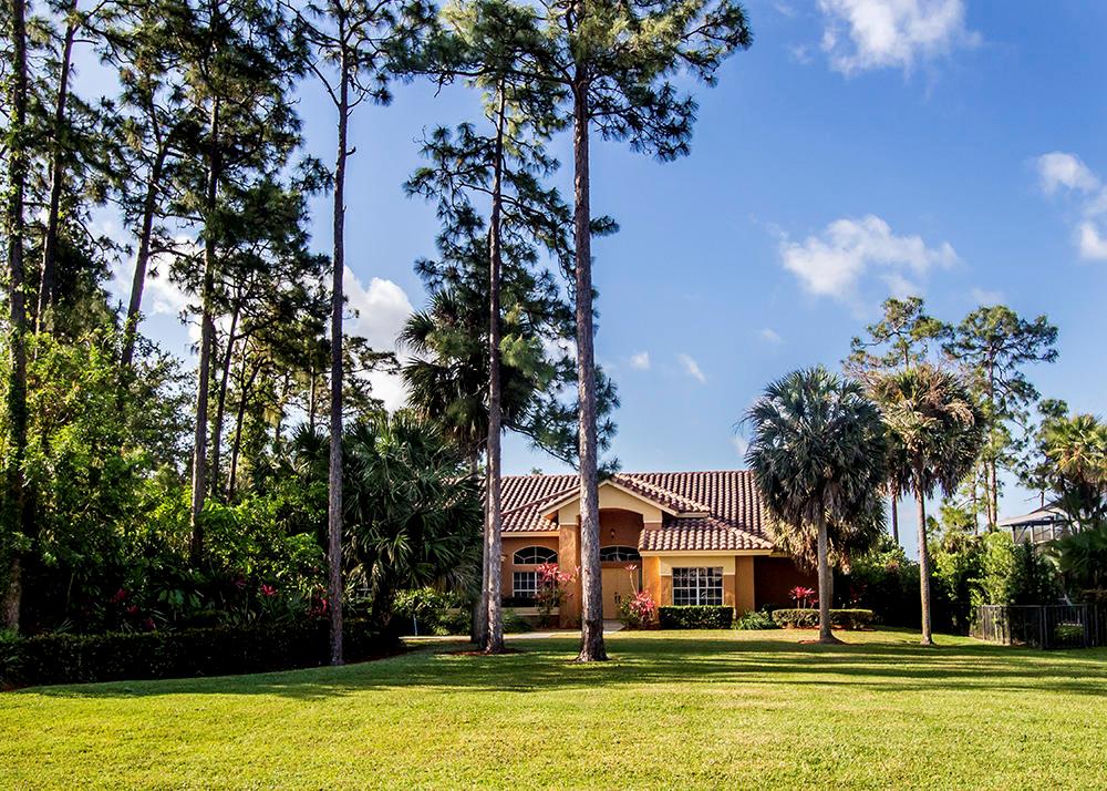 IBIS GOLF AND COUNTRY CLUB - The Preserve - Residential