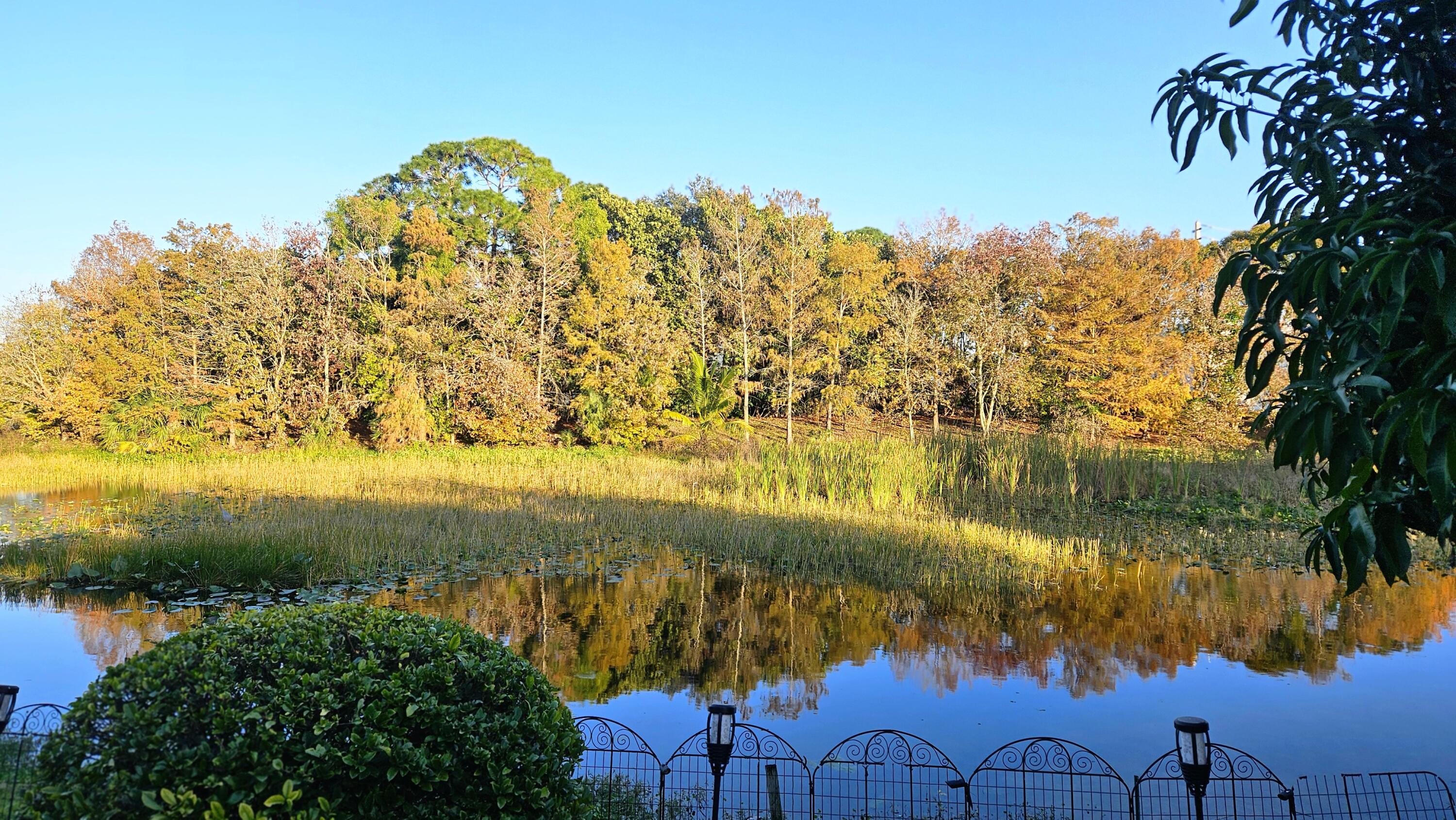 THE ENCLAVE - Residential