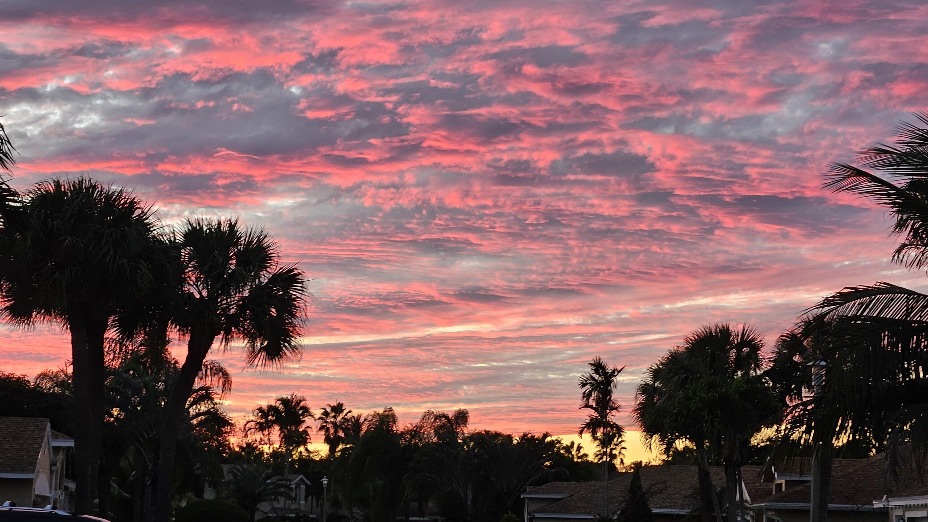 THE ENCLAVE - Residential