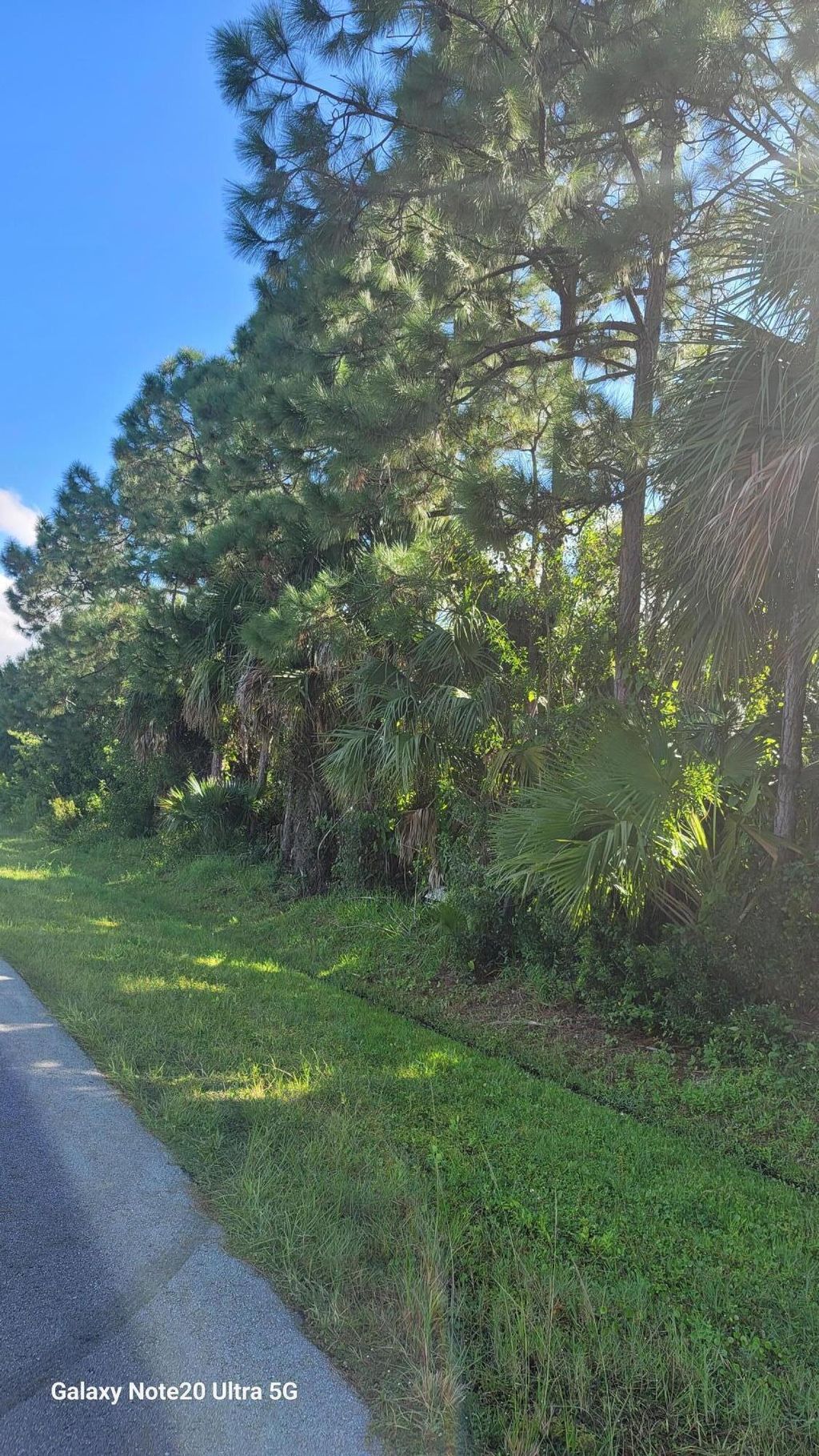 Photo of 3832 SW Janiga Street, Port Saint Lucie, FL 34953 (MLS # R11131150)