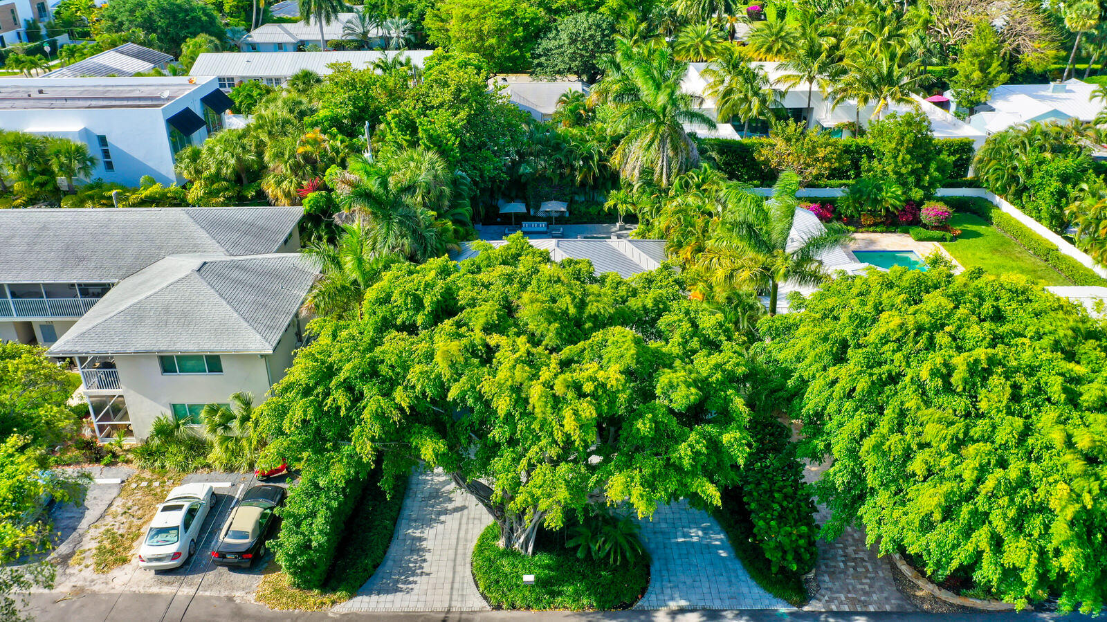 SEESTEDT STEVENS - Residential Lease