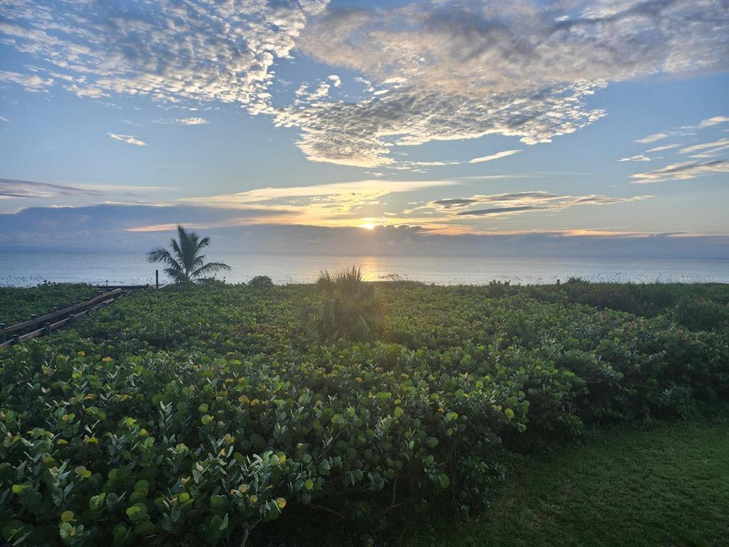 HIBISCUS BY THE SEA CONDOMINIUM - Residential Lease