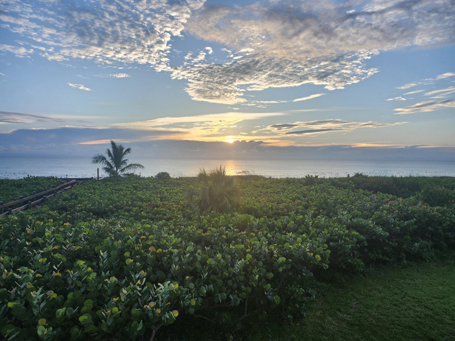 HIBISCUS BY THE SEA CONDO - Residential Lease