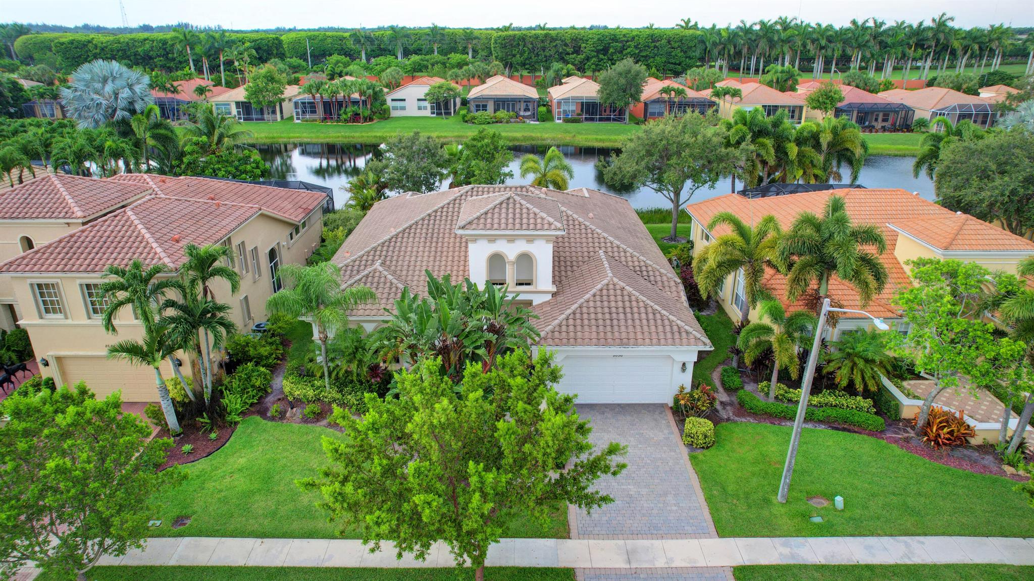 BUENA VIDA - Residential