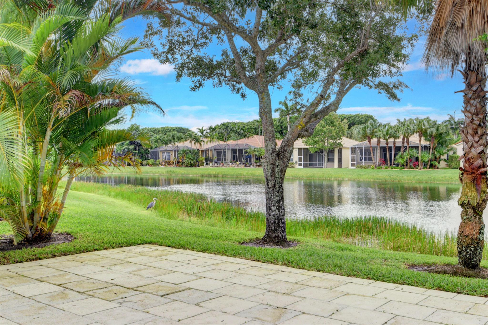 BUENA VIDA - Residential