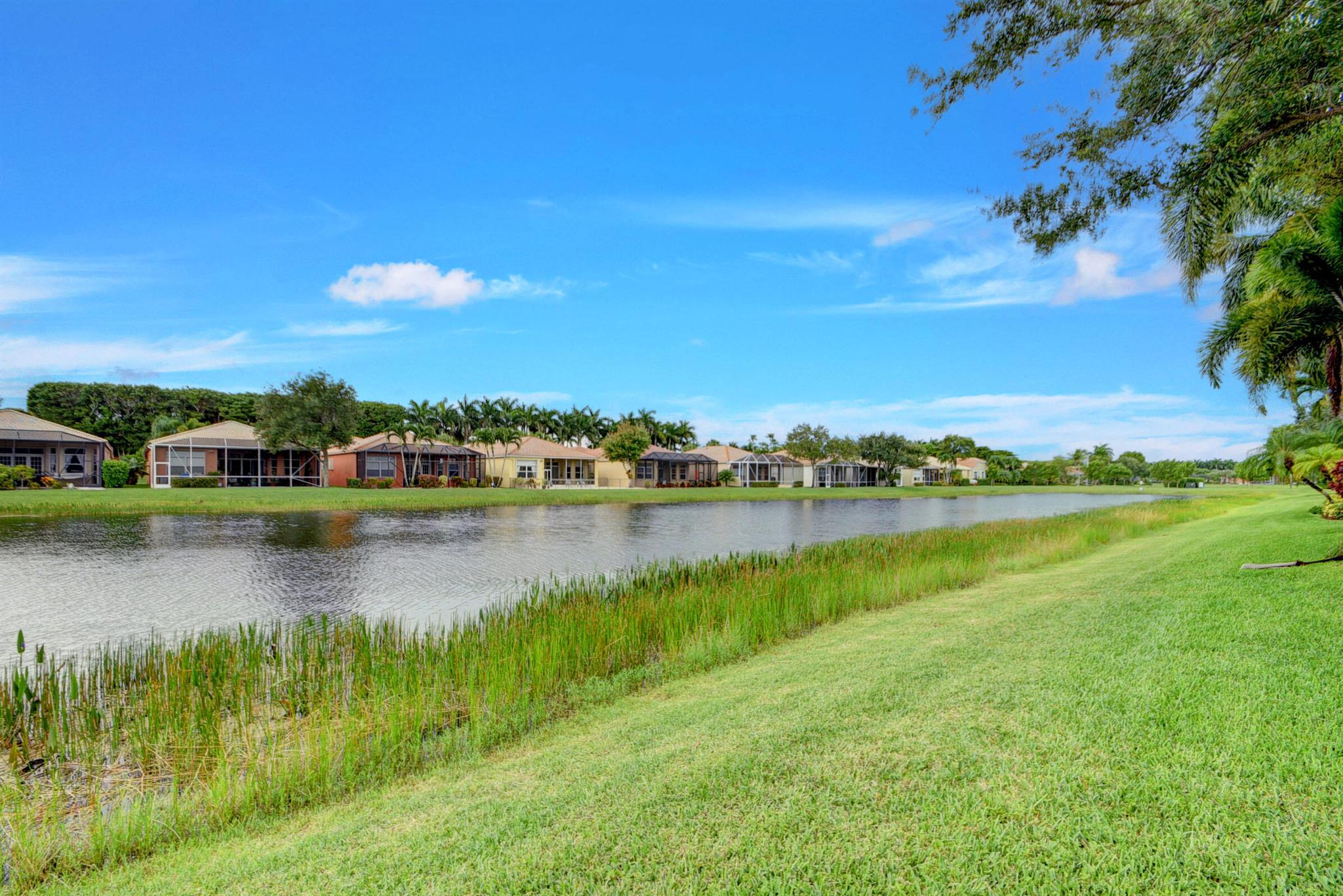 BUENA VIDA - Residential