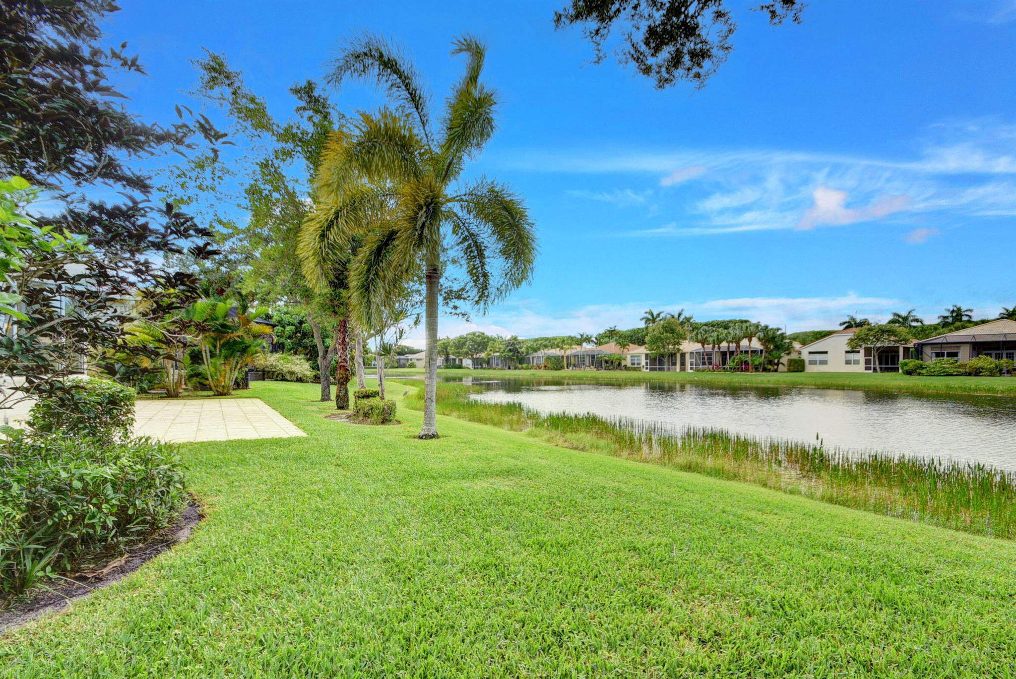 BUENA VIDA - Residential