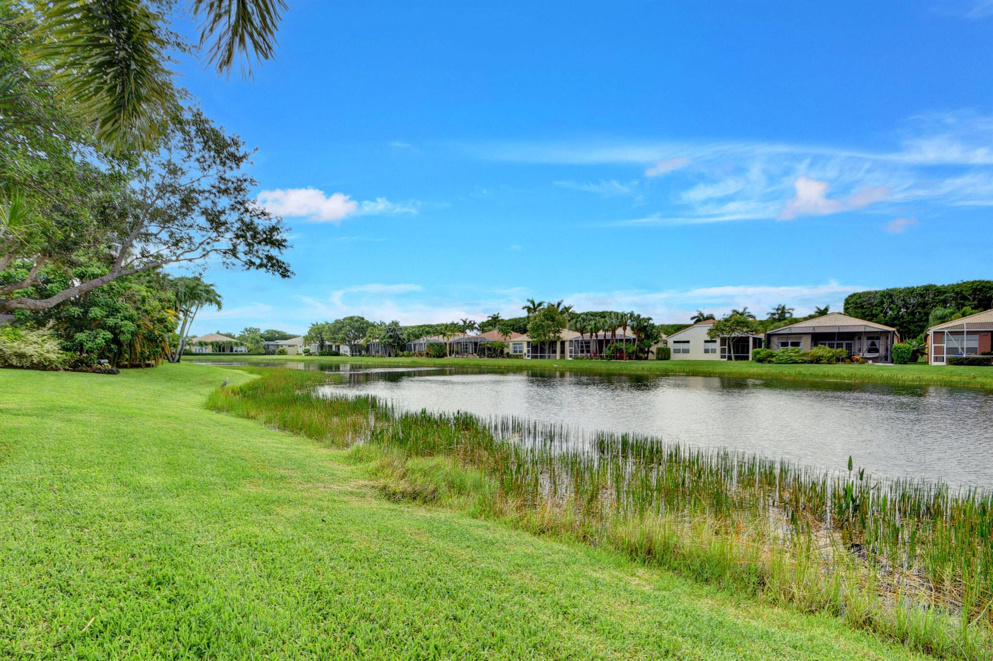 BUENA VIDA - Residential