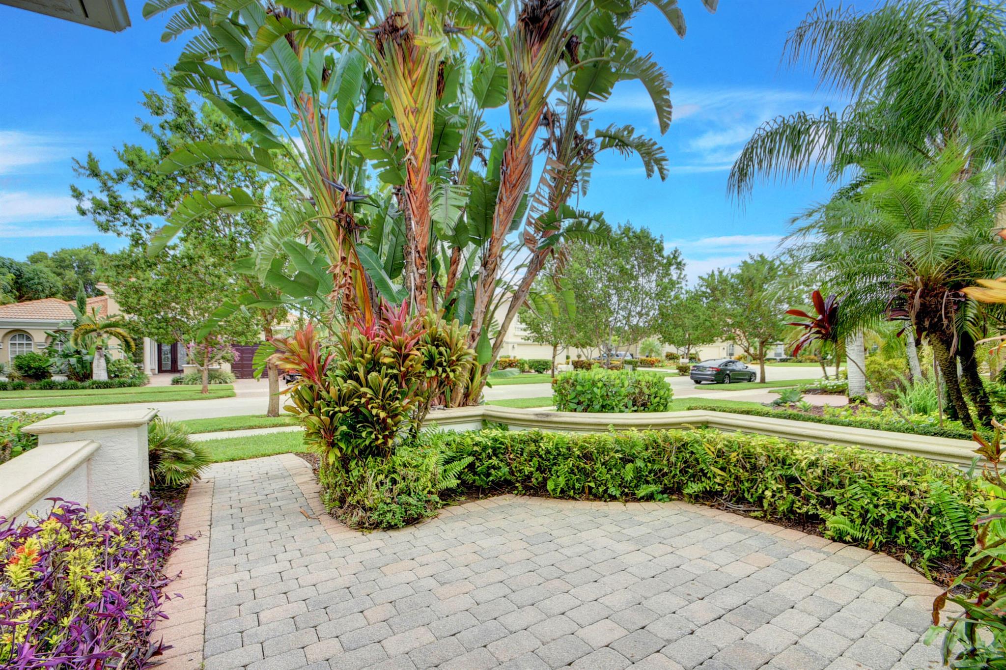 BUENA VIDA - Residential