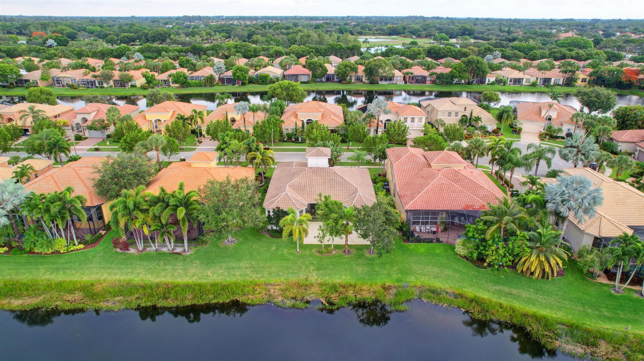 BUENA VIDA - Residential