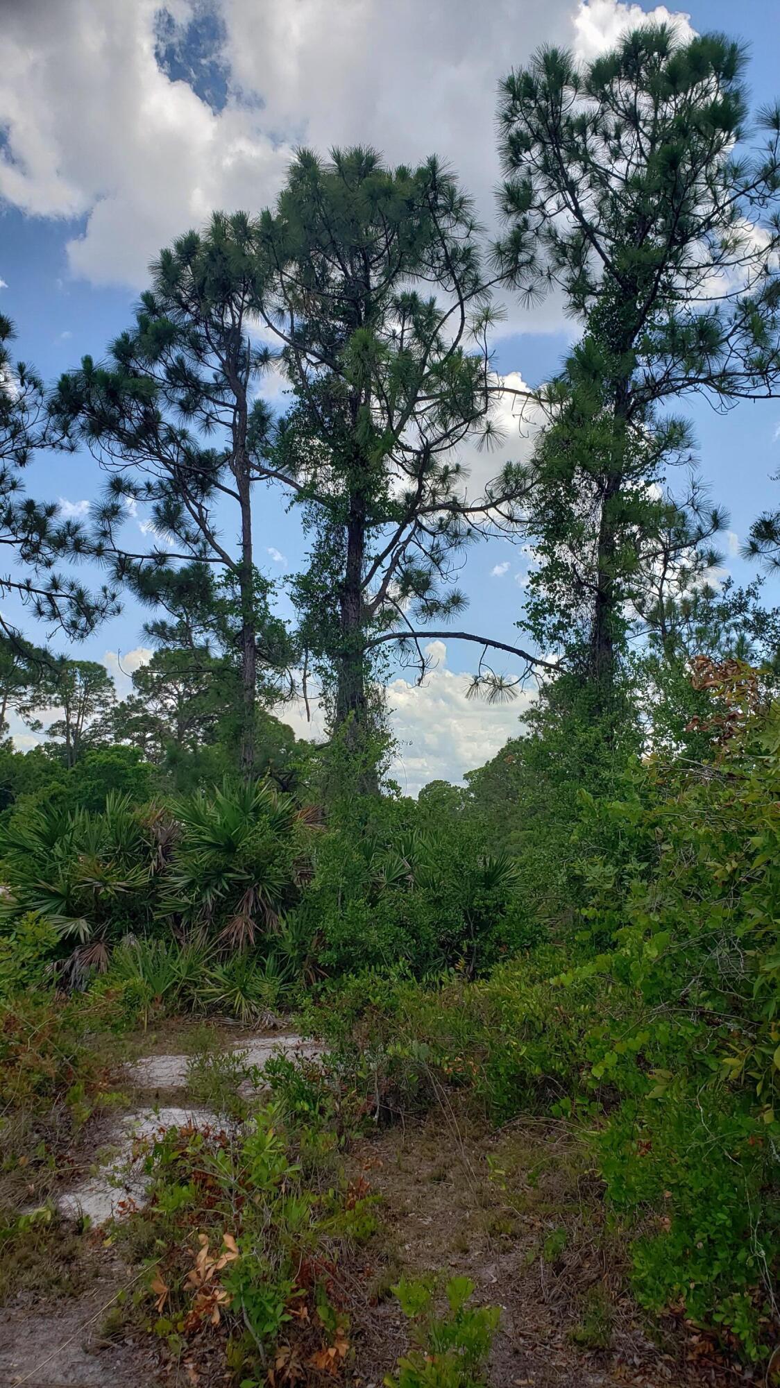 932 Island Parkway NE