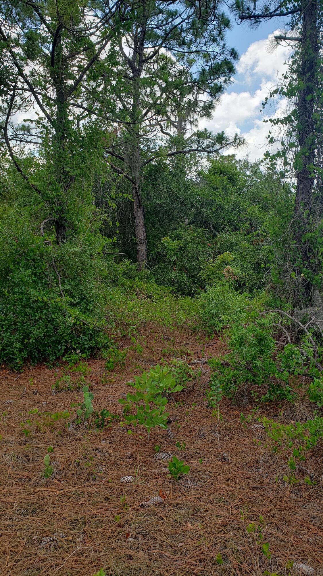 PLACID LAKES SEC 20 - Land