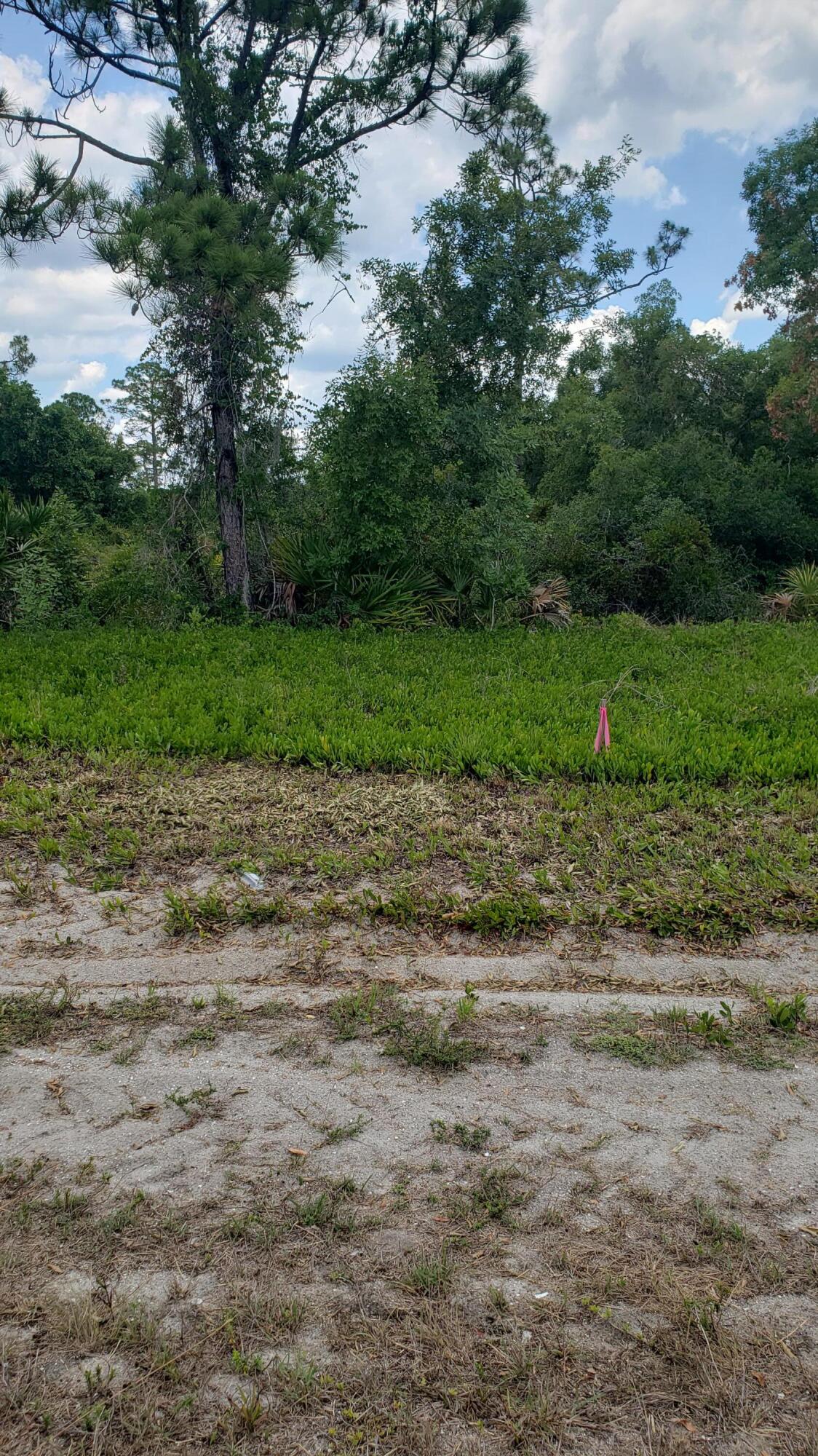 PLACID LAKES SEC 20 - Land