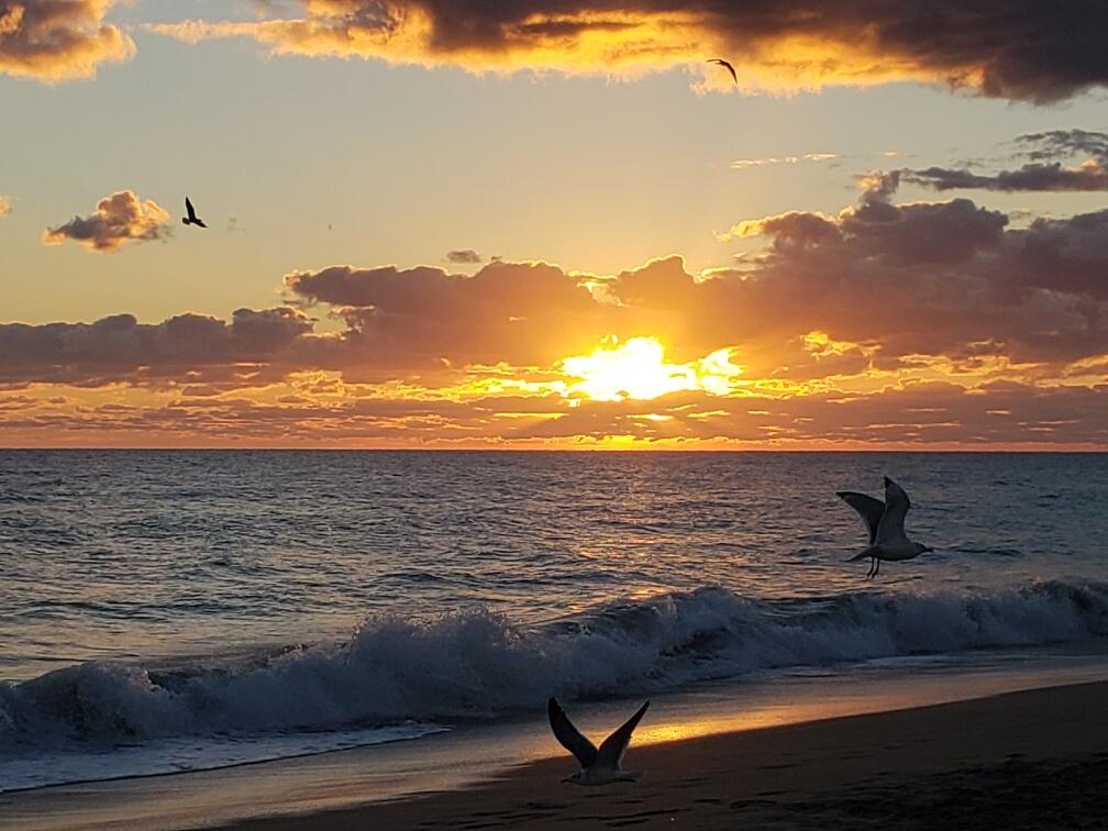 spanish lakes 55+ community Golf Village - Residential