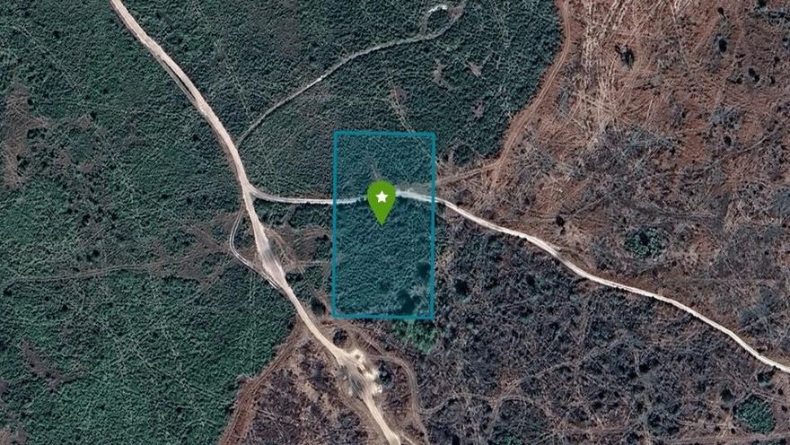 PLEASE READ ENTIRE LISTING. NOT BUILDABLE – RECREATIONAL / AGRICULTURAL ZONING. This 1.25-acre parcel is intended strictly for recreational and agricultural use and is not suitable for residential construction. Ideal for buyers seeking land for camping, ATV riding, outdoor recreation, or long-term land investment. Located in a quiet, rural area of Okeechobee with dirt road access, no HOA, and wide-open surroundings. This property is popular with outdoor enthusiasts who value privacy and off-grid-style use. Close to Lake Okeechobee for fishing and boating, with town amenities within a reasonable drive. Please do not inquire if your intent is to build a home on this property. Buyer to verify zoning, access, and permitted uses with Okeechobee County.