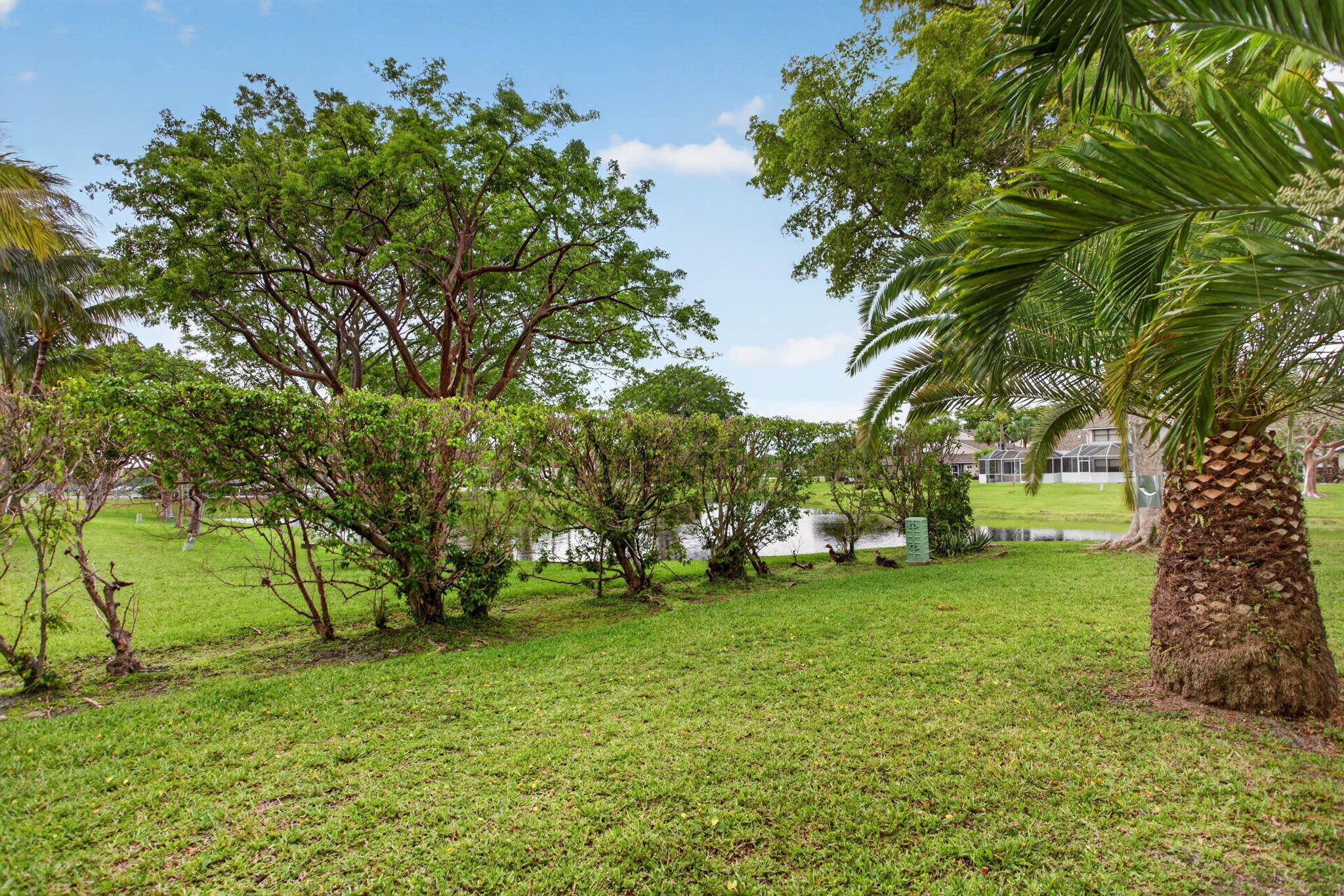 THE LAKES - Residential