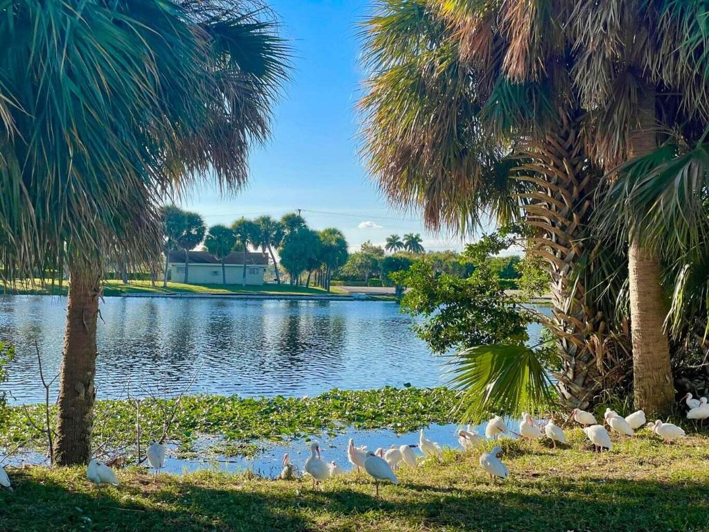 MURRY HILLS APT BLDG CONDO - Residential Lease