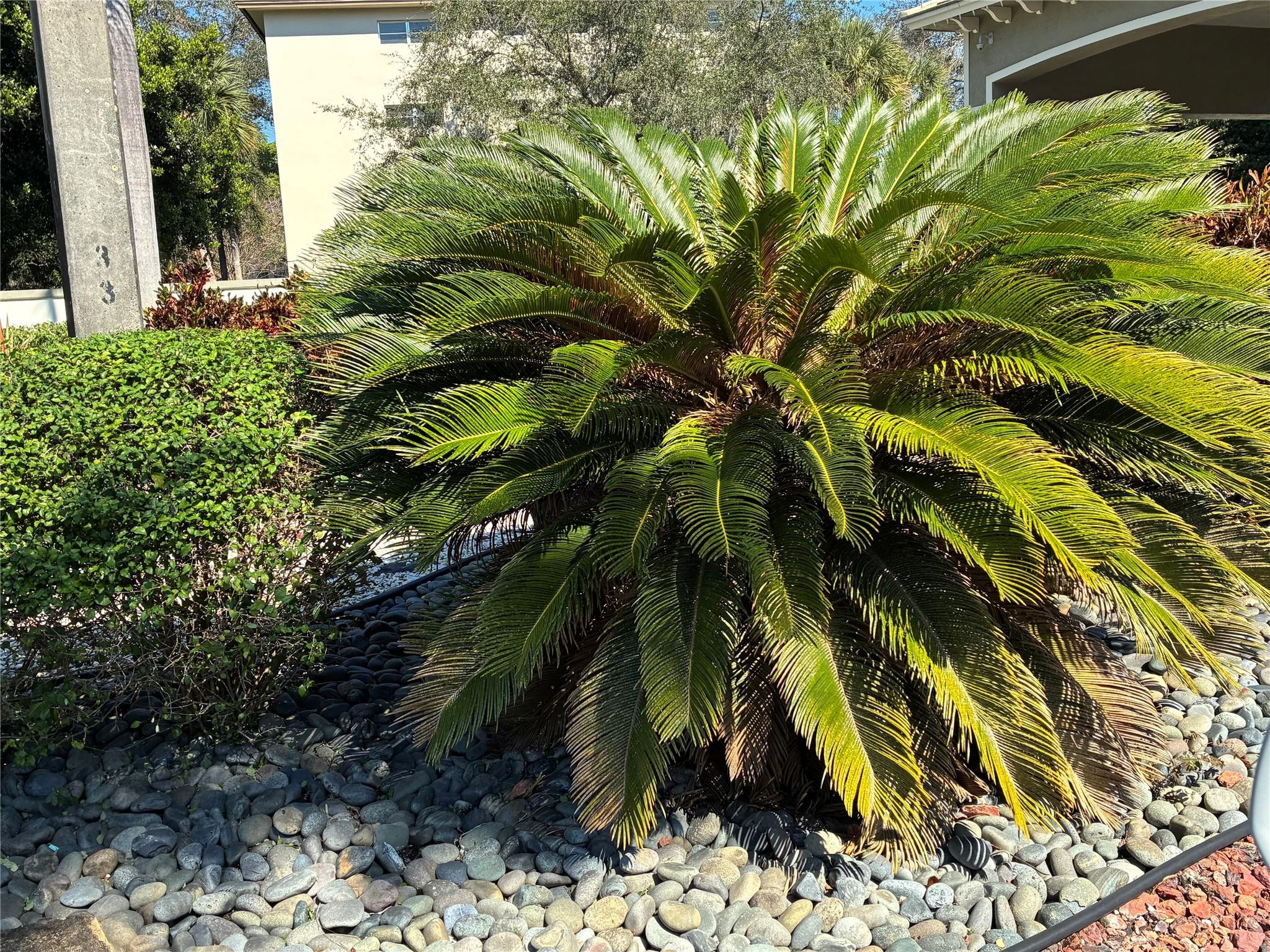 Wynmoor - Residential