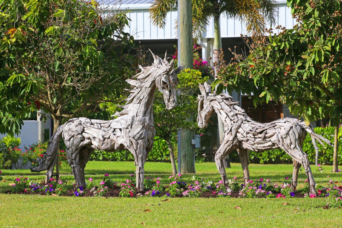 Rustic Ranches - Residential