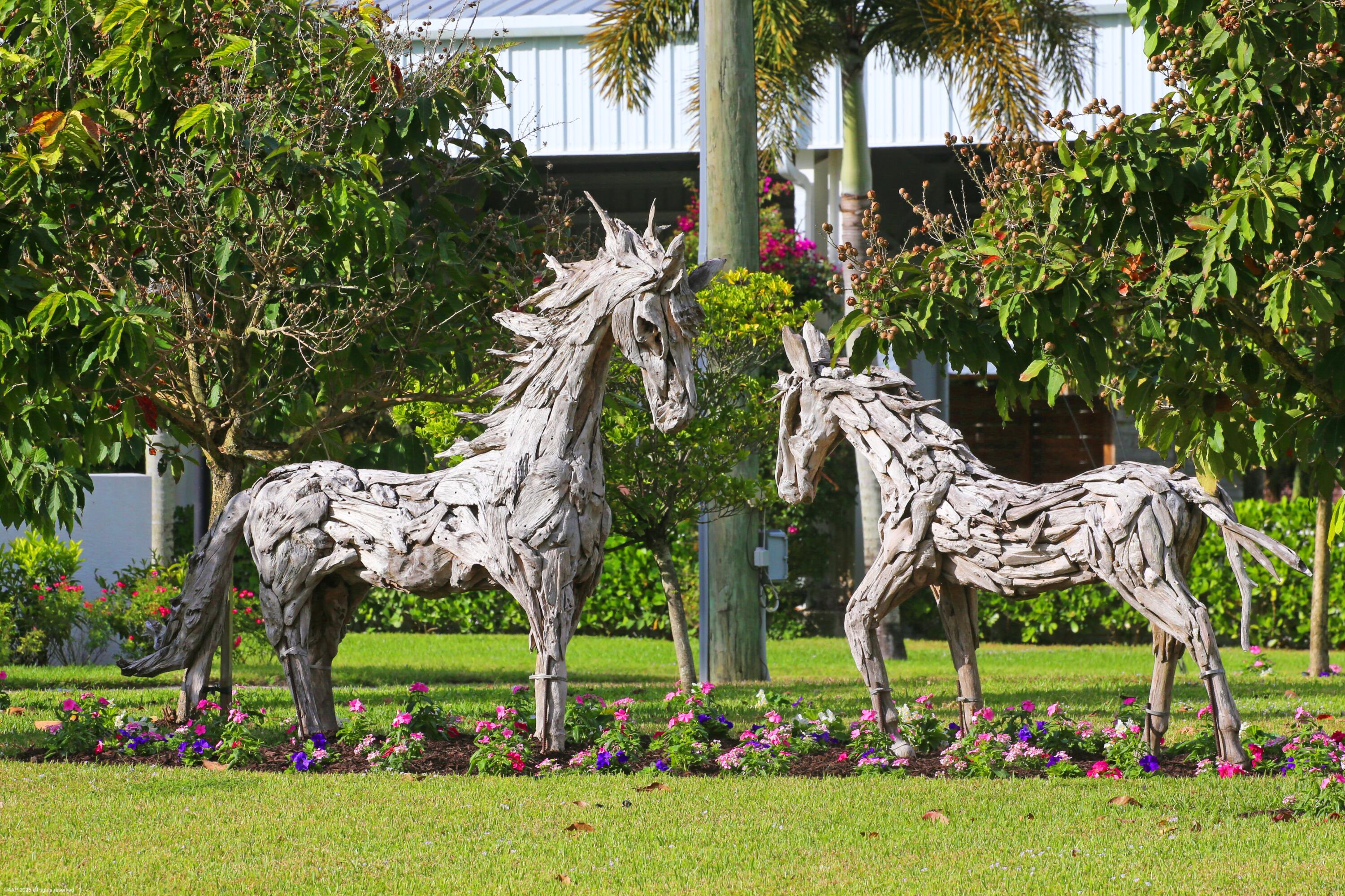 Rustic Ranches - Residential