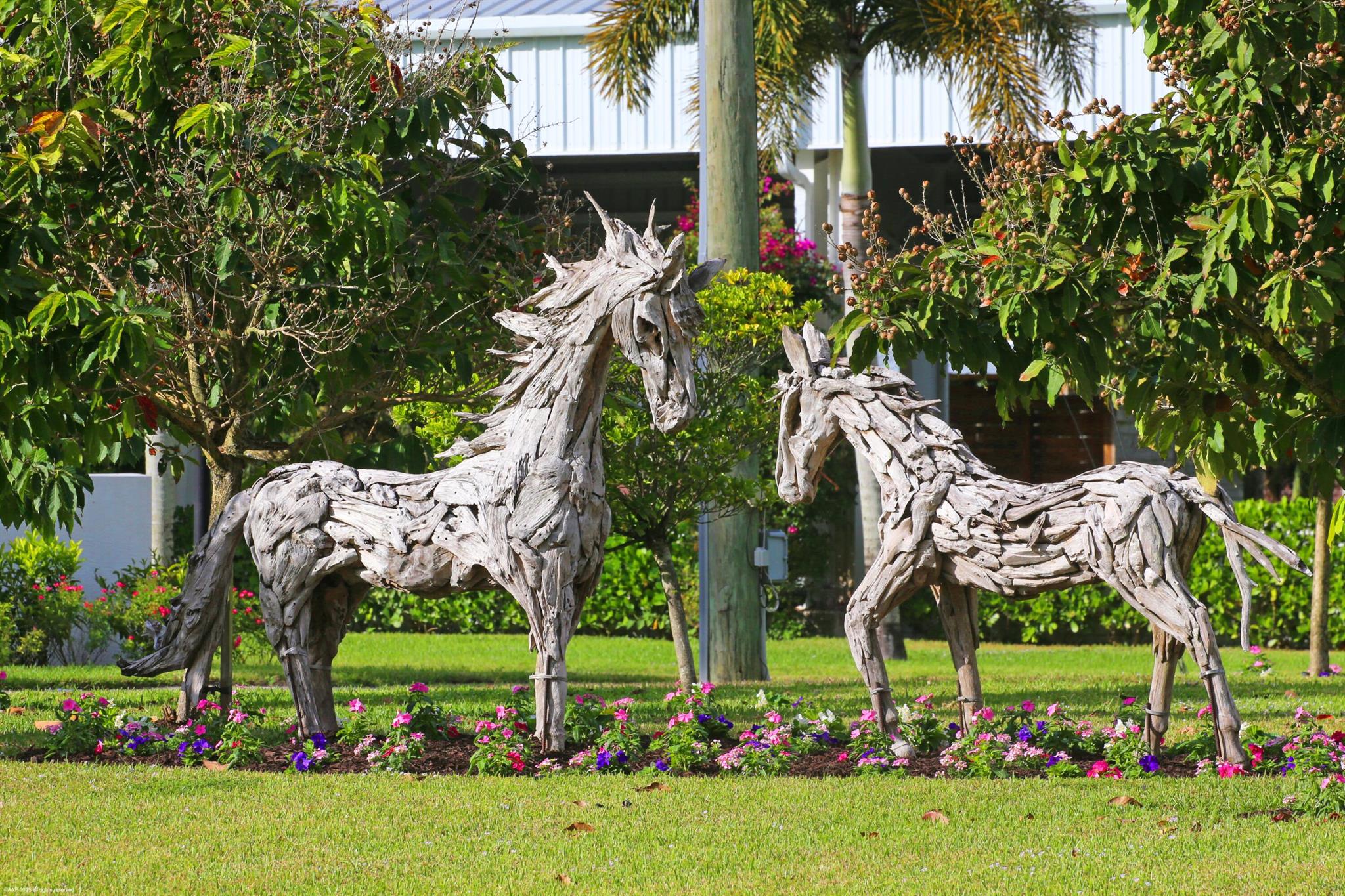 Rustic Ranches - Residential