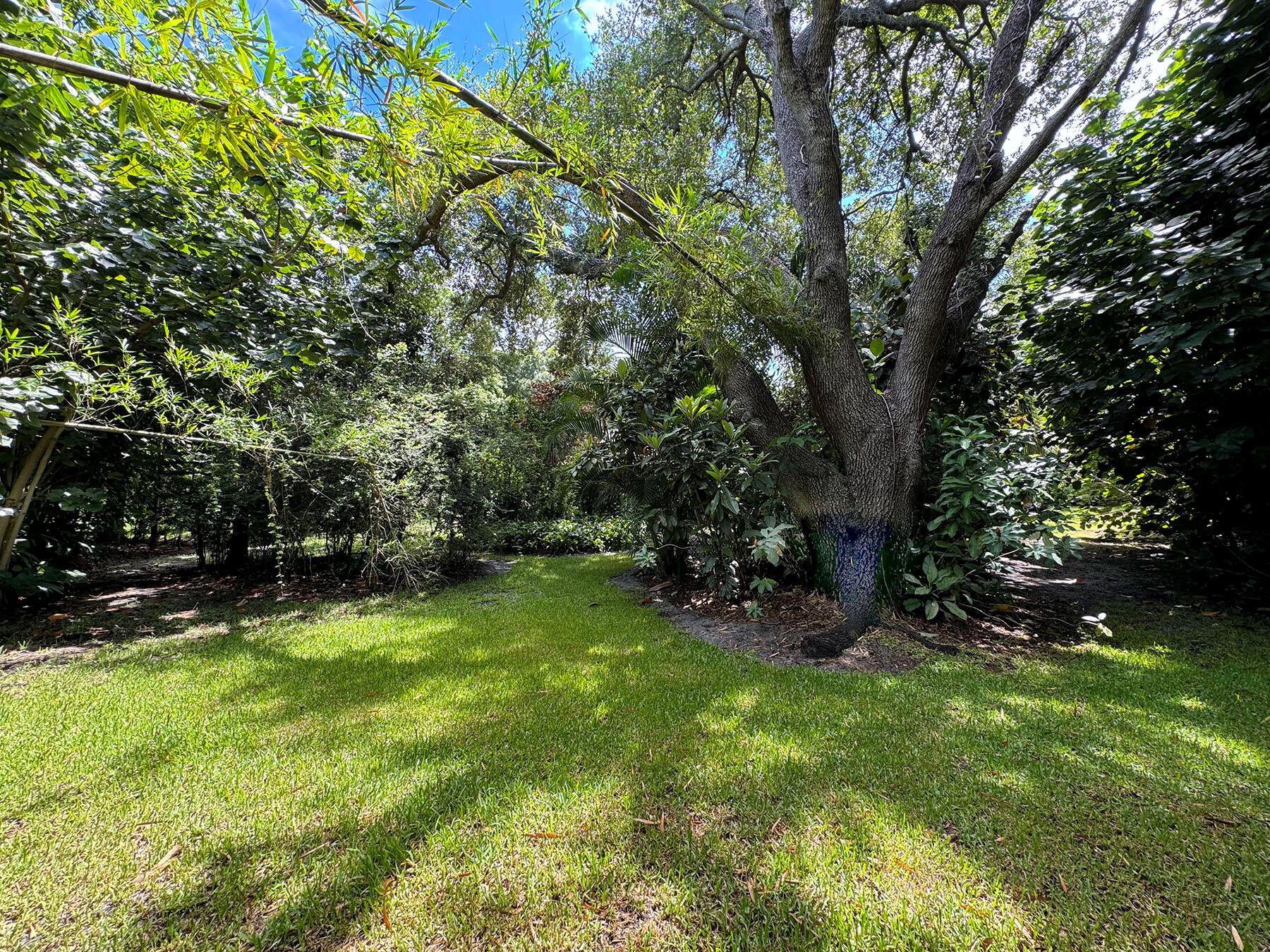 PINEWOOD LANE - Residential