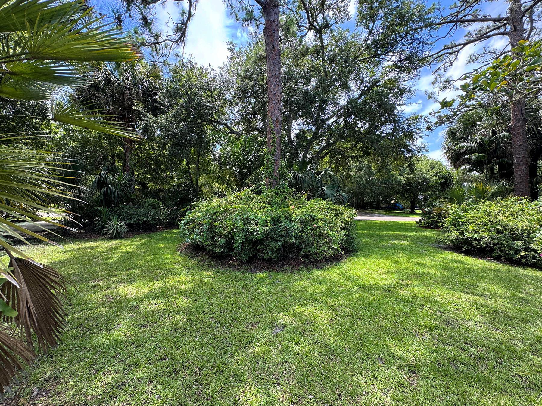 PINEWOOD LANE - Residential