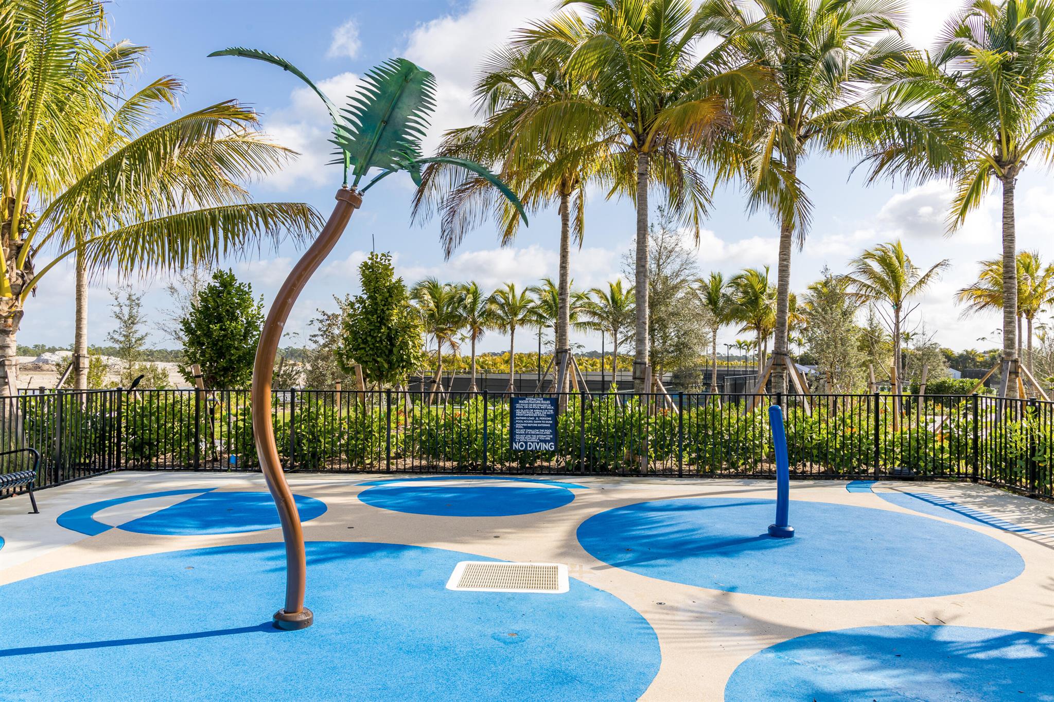 AVONDALE AT AVENIR - Residential