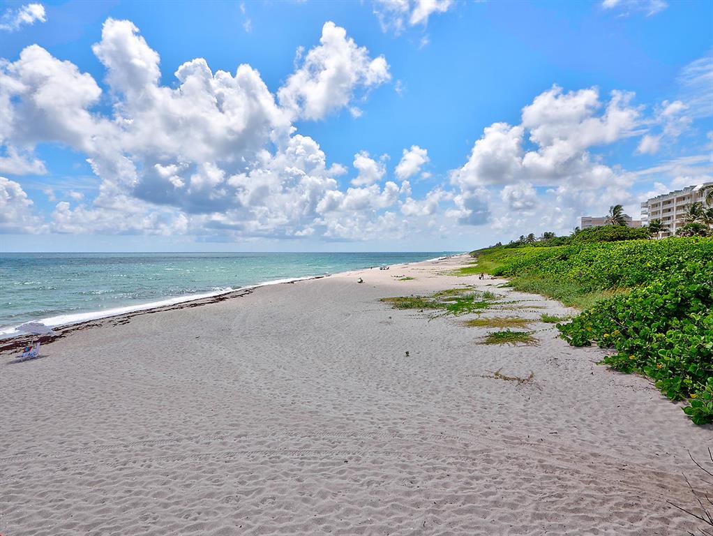 OLYMPUS - Residential