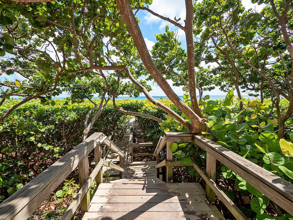 OLYMPUS - Residential