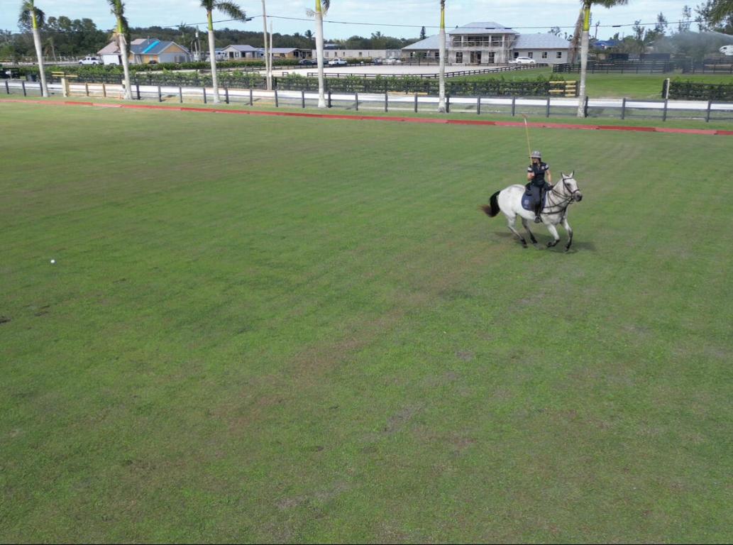 rustic ranches - Land