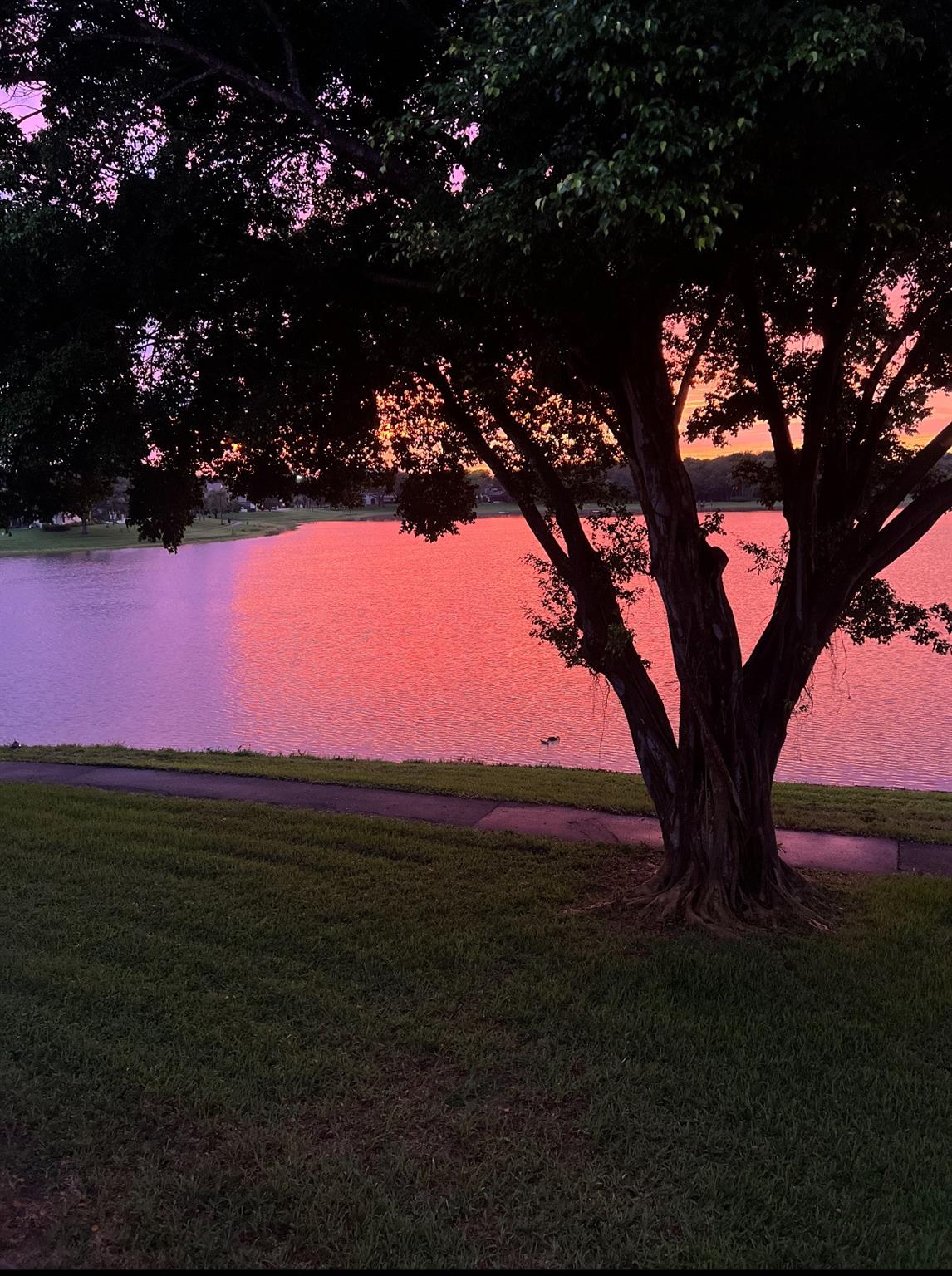 Lake Windwood Condo 01-14 - Residential Lease