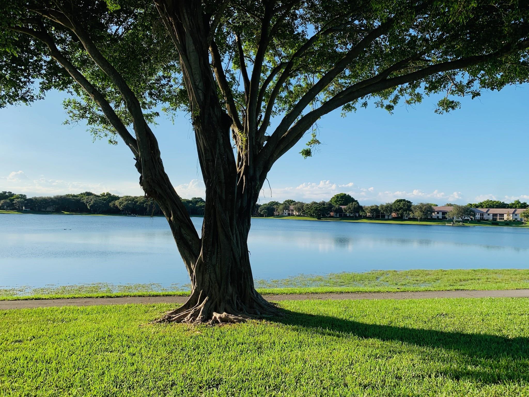 Lake Windwood Condo 01-14 - Residential Lease