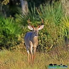 63000 Western Agricultura - Residential