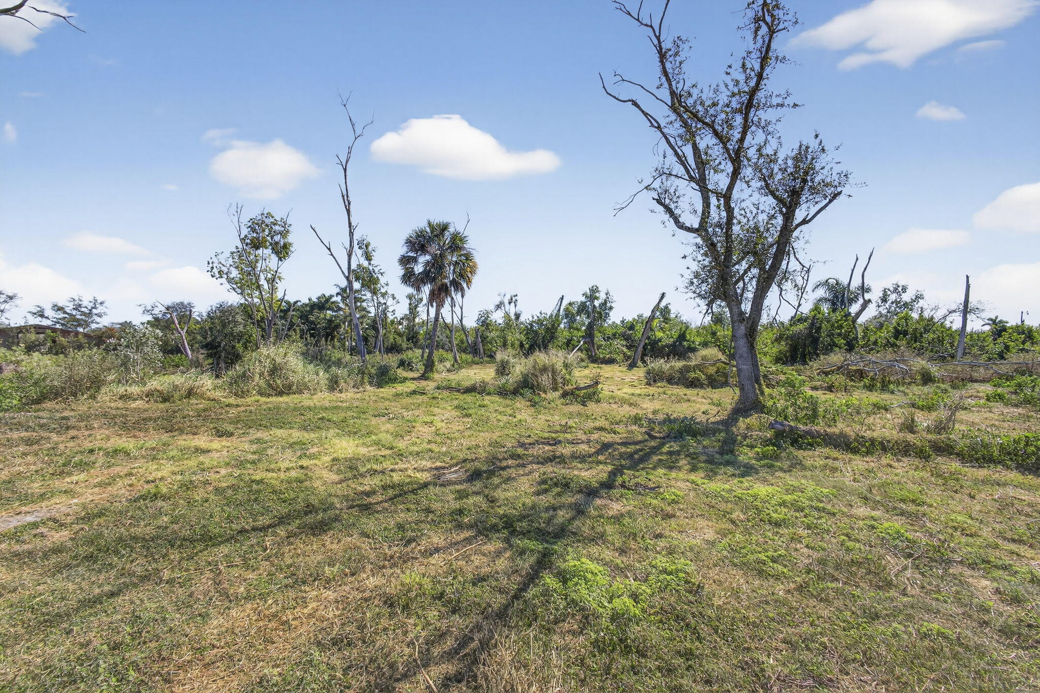 Rustic Ranches - Residential