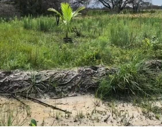 Southern Colonization Co - Land