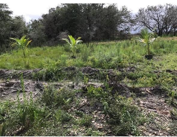 Southern Colonization Co - Land