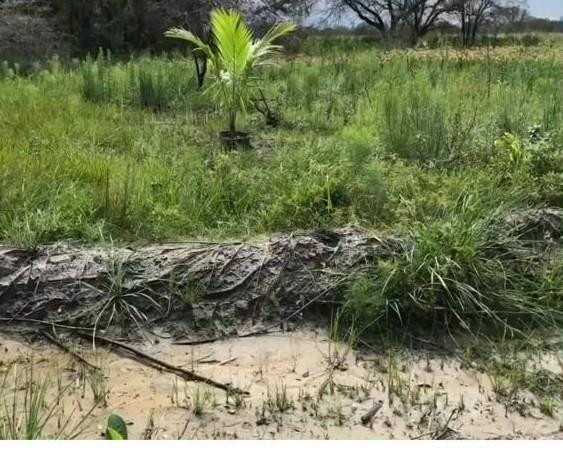 Southern Colonization Co - Land