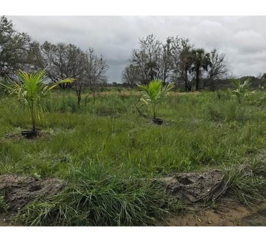 own this beautiful 3.75-acre agricultural/residential property in Okeechobee county FL. The land is mostly cleared and for residence/Agricultural With no HOA restrictions. Don't miss this chance to make this beautiful property your own.