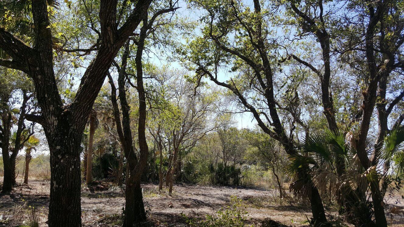 Southern Colonization Co - Land