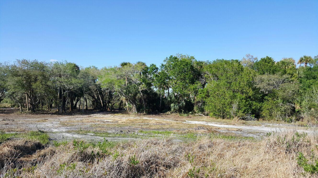 Southern Colonization Co - Land