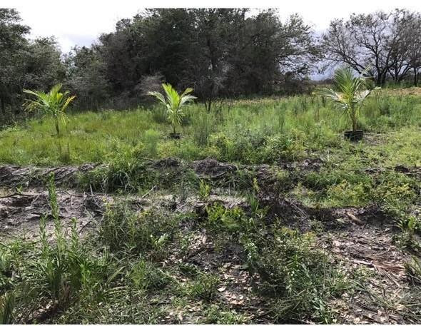 Southern Colonization Co - Land