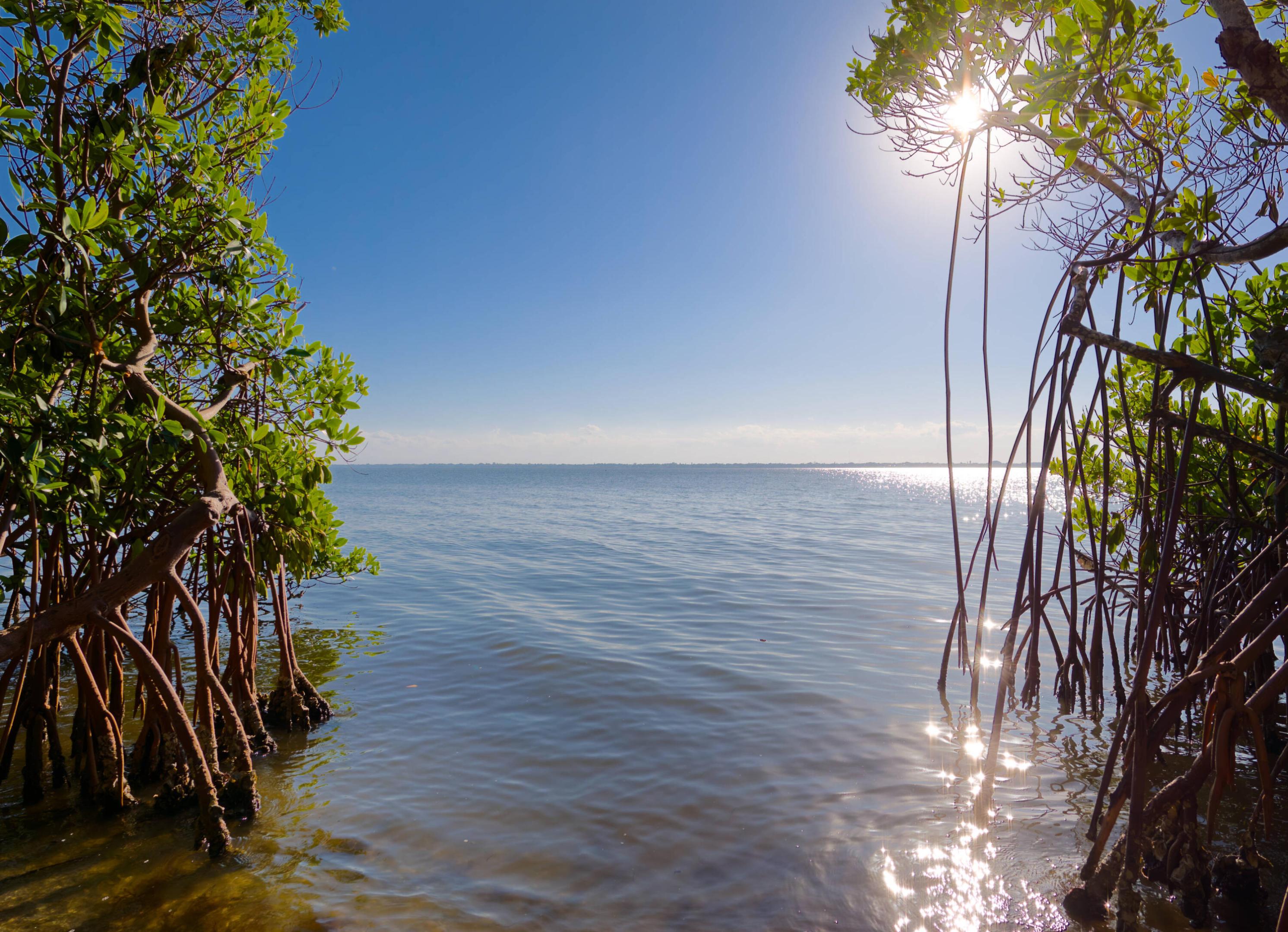 Pelican Pointe West - Residential